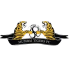 孟买老虎队